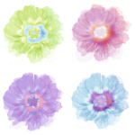 QUATRE FLEURS   Robin
