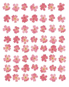 EIGHT LINES OF PINK FLOWERS Tasmin  Phoenix
