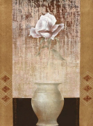 AMBIENT ROSE Mira  Latour