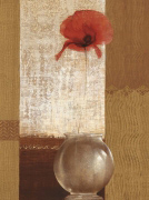 AMBIENT POPPY Mira  Latour