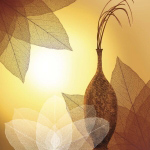 TRANSPARENCE II   Robin