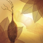 TRANSPARENCE I   Robin