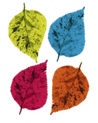 FOUR LEAVES II Tasmin  Phoenix