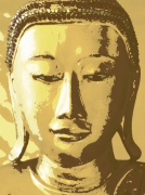 SIDDHARTHA Tasmin  Phoenix
