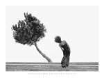 THE TREE Cristian  Ceppas