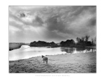 CHEVAL CONTEMPLANT LA RIVIERE, REVILLE Olivier  Meriel