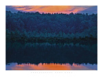 GABRIEL LAKE, NY Hank  Gans