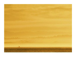 MONTEREY BAY, CALIFORNIA Hank  Gans