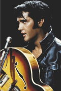ELVIS: THE KING OF ROCK 'N' ROLL   Anonymous_I