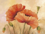MOHNBLUMEN Olga  Kaesling