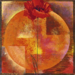 RED POPPY Yvonne  Dulac