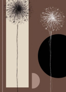BLACK AND WHITE DANDELIONS Jo  Parry