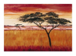 SERENGETI DAWN Emilie  Gerard
