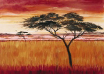 SERENGETI DAWN Emilie  Gerard