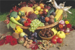 AUTUMN FRUIT   Anonymous_I