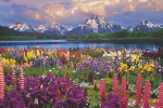 GRAND TETON   Anonymous_I