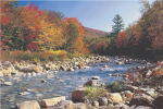 AUTUMN BROOK   Anonymous_I