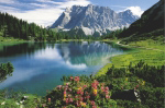 SEEBENSEE   Anonymous_I