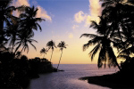 HIKKADUWA BEACH   Anonymous_I