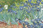 VINCENT VAN GOGH LES IRIS   Anonymous_I
