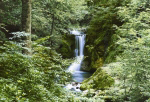 WATERFALL IN SPRING   Anonymous_I