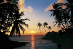 TROPICAL SUNDOWN   Anonymous_I