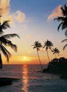 TROPICAL SUNDOWN   Anonymous_I