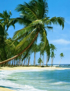 SOUTH SEA   Anonymous_I
