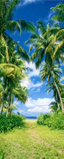 BEACH PATH   Anonymous_I