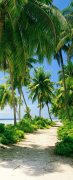 TAHITI   Anonymous_I
