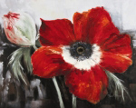 POPPY IN FULL BLOOM Rian  Withaar