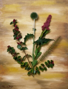 PINK WILD FLOWERS Hans  de Bruijn