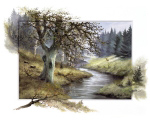 ENJOY NATURE Reint  Withaar