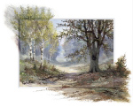 FOREST CREATION Reint  Withaar