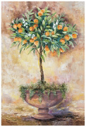 ORANGE TREE Rian  Withaar