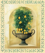 CITRONS Milieu  du Ciel