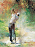 A PERFECT DAY Willem  Haenraets