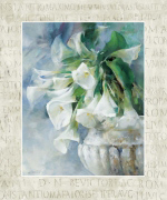 A MEMORY CAPTURED Willem  Haenraets