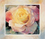 FLOWER I Willem  Haenraets