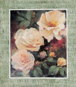 ANCIENT ROSES Willem  Haenraets