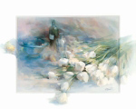 ADAGIO Willem  Haenraets
