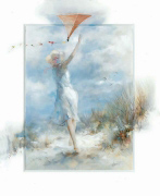 FLY A KITE Willem  Haenraets