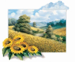 SUNFLOWER HILL Reint  Withaar