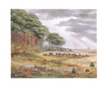 SHEEP ON THE MOORLAND Reint  Withaar