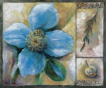 BLUE POPPY COMPOSITION Rian  Withaar