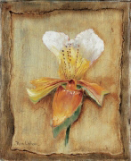 SPRING IMPRESSION I Rian  Withaar