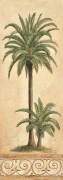COCONUT PALM Claudia  Ancilotti