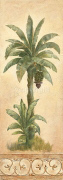 BANANA PALM Claudia  Ancilotti