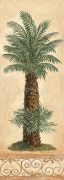 ISLAND PALM Claudia  Ancilotti
