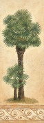 TROPIC PALM Claudia  Ancilotti